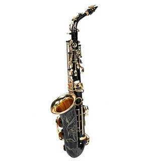 Saxofone alto, saxofone profissional, saxofone alto, saxofone alto, saxofone alto, instrumentos musicais planos com pano de limpeza, escova de tubo de limpeza, estojo, flauta de saxofone para