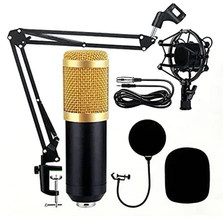 Kit Microfone Condensador com Braço Articulado