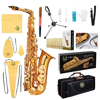 Rhythm Saxofone Eb Alto com estojo de saxofone de transporte, kit completo de limpeza e cuidados, suporte dobrável para saxofone, caixa de palhetas, bocal, correias - cor dourada