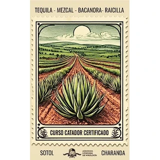 Curso Catador Certificado de Tequila, Mezcal, Raicilla, Bacanora, Sotol y Charanda : bajo el EC1456 cata de destilados mexicanos con denominación de origen (Spanish Edition)