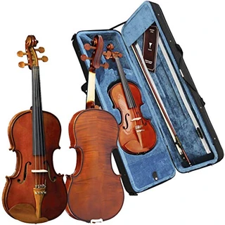 B009L842XI - Violino Eagle VE441 Classic Series 4/4